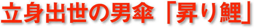 立身出世の男傘「昇り鯉」